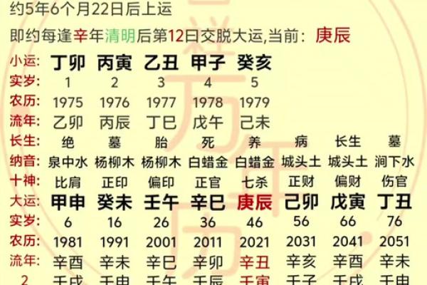 白蜡金命人的职业选择：适合的专业与发展方向分析