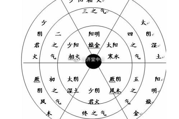 从三命汇通论看个人命运的奥秘与启示