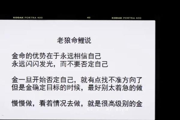 了解金命：2023年属相运势与人生方向的最佳选择