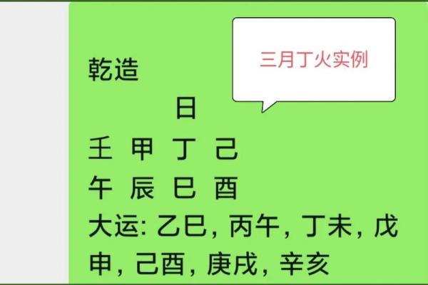 探秘乙巳日：命格与运势的深刻联系