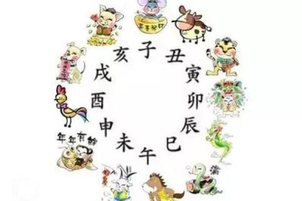 探寻生肖命理：从十二生肖看你的命运与个性