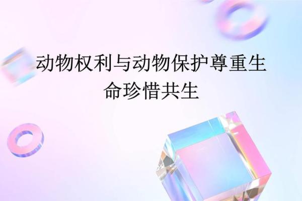 50多岁狗的命运：揭秘老犬与主人的共生之道