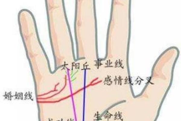 富贵命的人：适合他们属相的财富与幸福之道