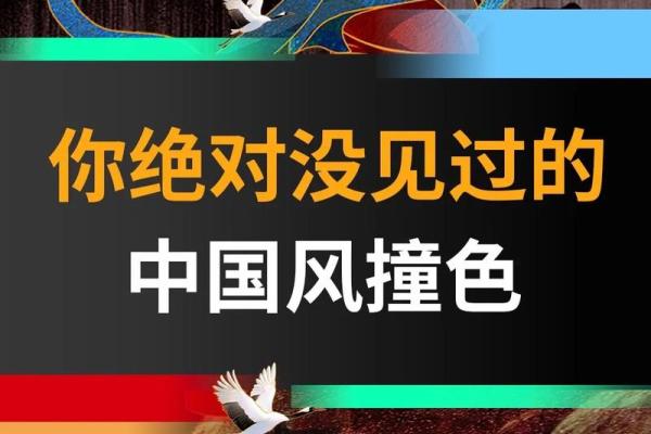 水命女人的色彩密码：缺失的颜色与生活提升之道