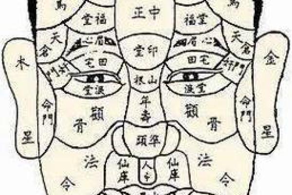 命理中的长生之地：探索生辰八字的奥秘与人生方向