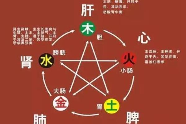 探秘命理：数字相加背后的奥秘与运用