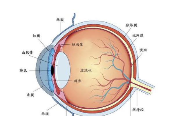揭开“笔画命格”的奥秘：命运与书写的奇妙联系