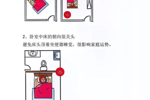 杨柳木命与数字的奥秘：探寻命理中的禁忌与传统智慧