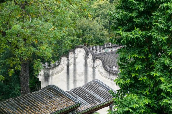 木命崛起：解密2003年如何塑造命运与性格的奥秘
