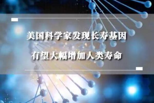 82年腊月出生的狗年命运解析：如何解锁生命中的幸福之道