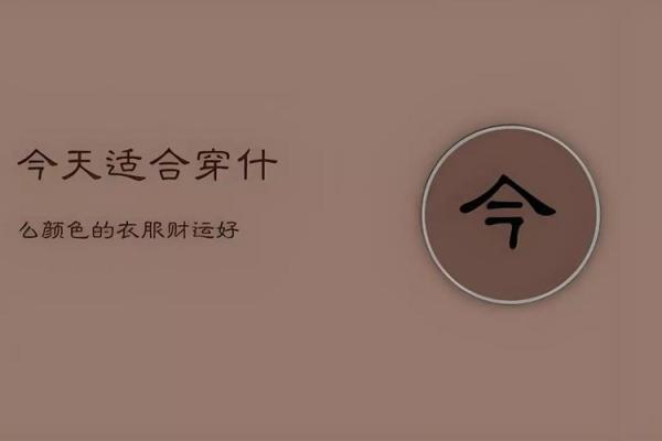 水命者适合的 wallet 颜色选择，助你财运顺畅！