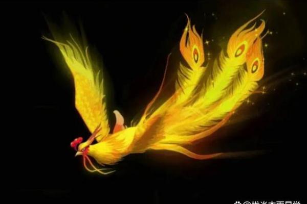 如何选择适合的命格纹虎头，助你开运旺财！