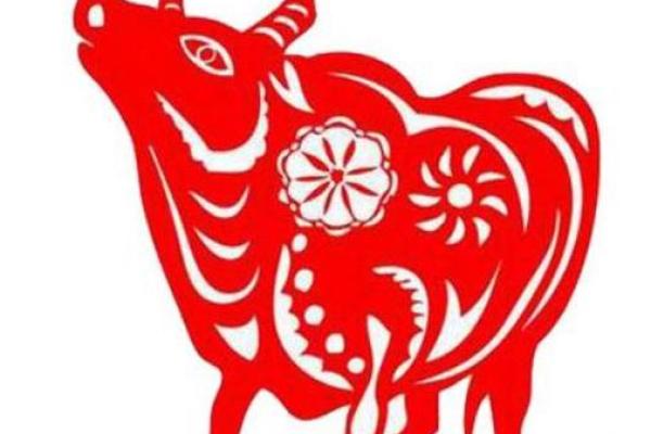 金铂金命者的幸运色彩：如何选择适合的配色与生活方式