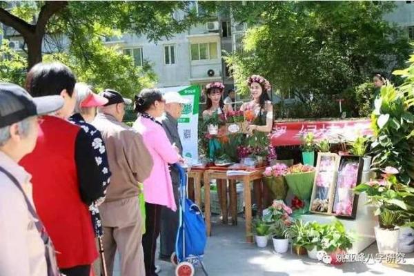 没有老婆的命格：探秘单身生活的深层次意涵与启示