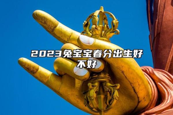 兔宝宝正月出生，揭秘2023年的命运与性格特点！