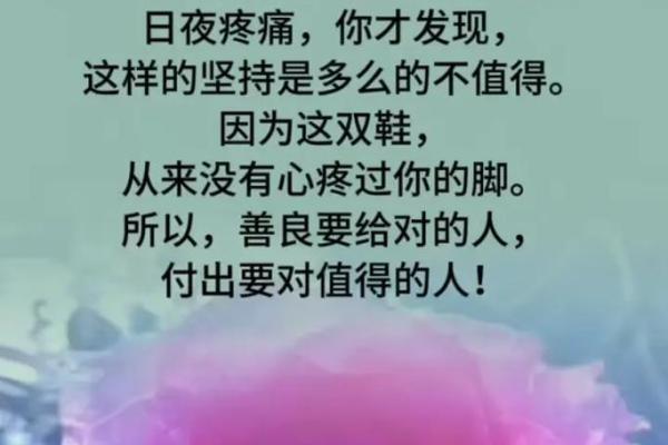 从命起步：探索与“命”相关的成语与人生哲学