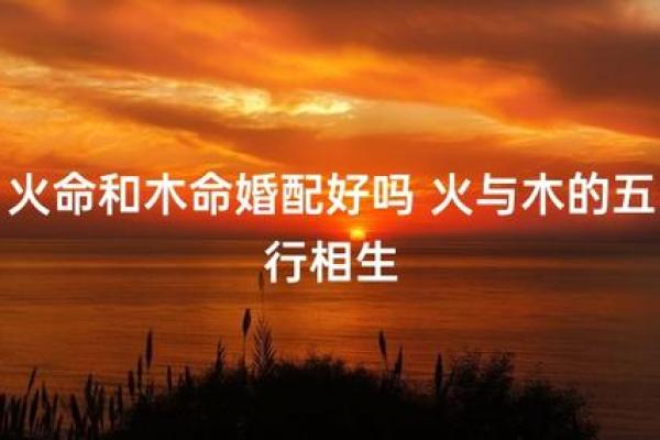 如何为火猴命的小宝宝起个好名字——揭示最佳字义选择与命理结合的奥秘