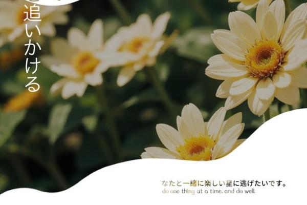 1996年命运解析：走向辉煌的人生之路