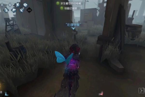 佣兵的悲哀：为何不再搏命的背后故事