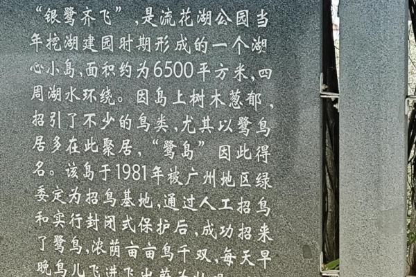 探秘1981年出生的人：命运与婚姻的深刻解析