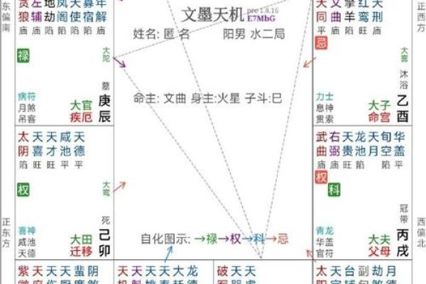探寻命理学的奥秘：揭开五行八字与紫微斗数的神秘面纱