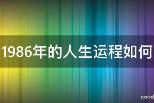 93、94、95年出生的人命运解析：从星座看人生轨迹与发展