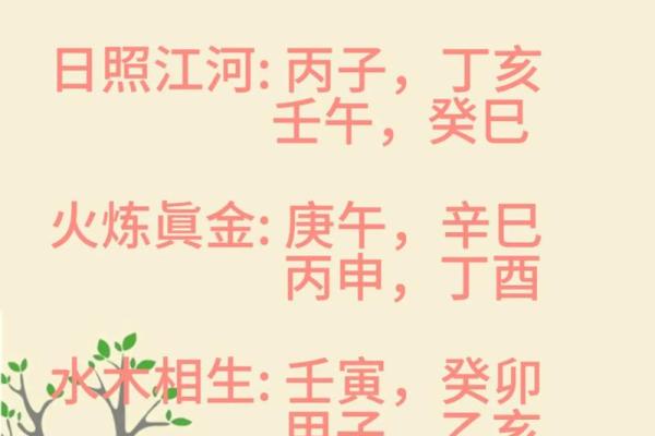 探索60甲子辛巳之命：命理解析与人生启示