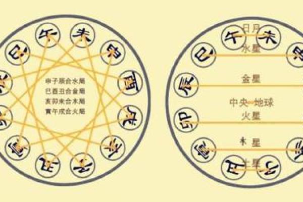 了解命局地支的秘密：揭示人生各个阶段的影响力