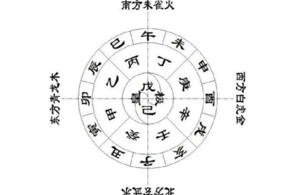 了解命局地支的秘密：揭示人生各个阶段的影响力