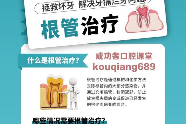牙齿与命运的微妙关系 32根牙齿背后的秘密