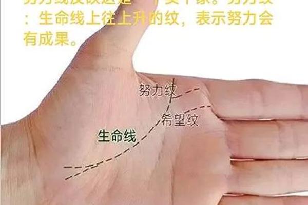 女人脚大的秘密：传统命理与现代解读之道