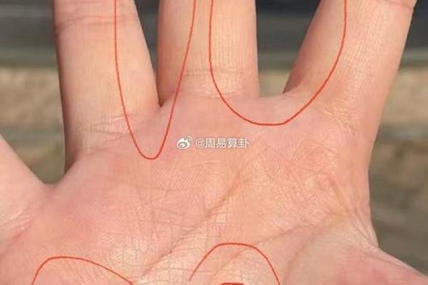 手掌与手指的秘密：你命运的隐秘信号！
