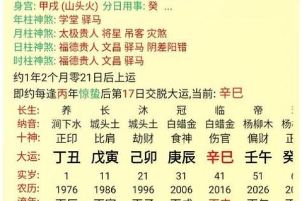 2017年命石榴木：探秘命理与生辰八字的奥妙