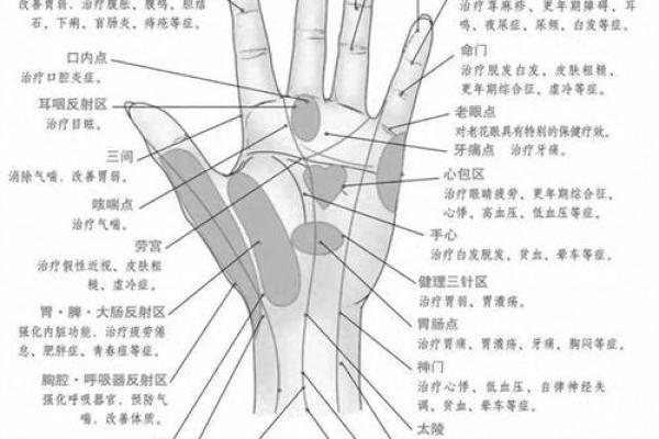 手掌与手指的秘密：你命运的隐秘信号！