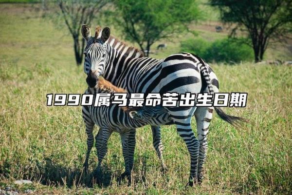 90年马年出生的人命运与性格解析