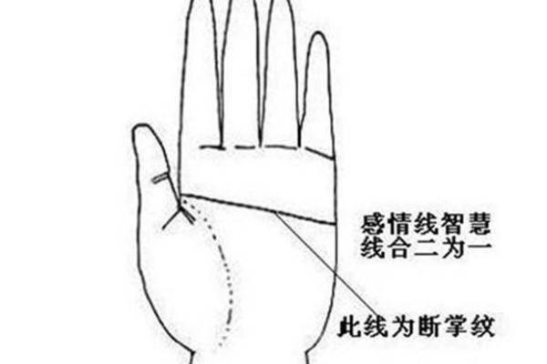 探寻无手纹手掌的奥秘：命运与性格的深刻联系