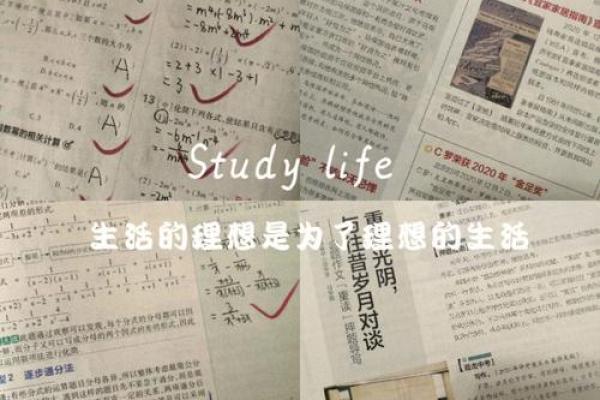 如何用3000元工资买到理想生活：消费与价值的选择