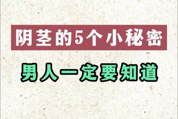 揭秘：哪些男人最旺夫命，给女性带来好运的秘密！
