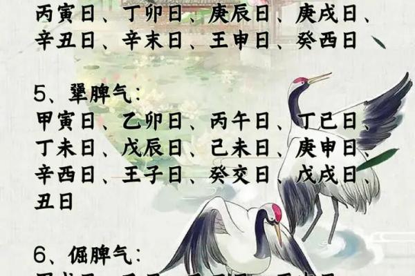 癸卯年出生的人：命运解析与人生智慧