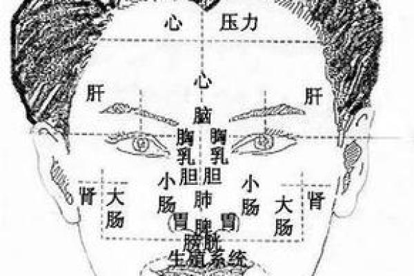 从面相看，哪些特征预示着操劳命？