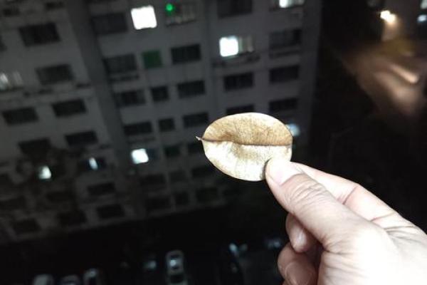 如何测量自己的命格：揭开命运之谜的钥匙