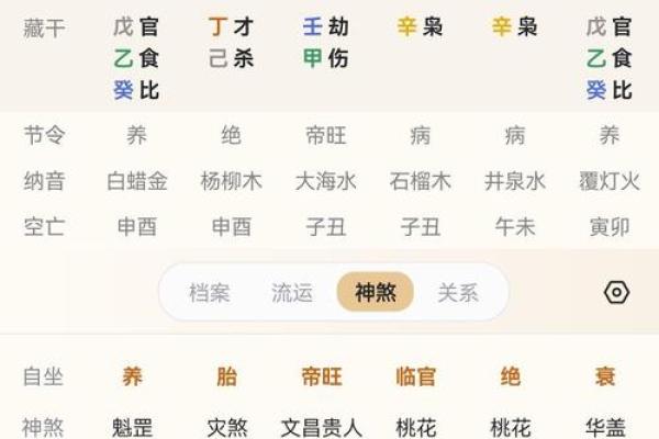1993年正月的命理解析：揭秘命中注定的你