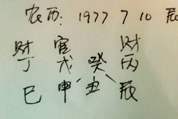 1994年农历腊月出生的人命运解析与性格特点