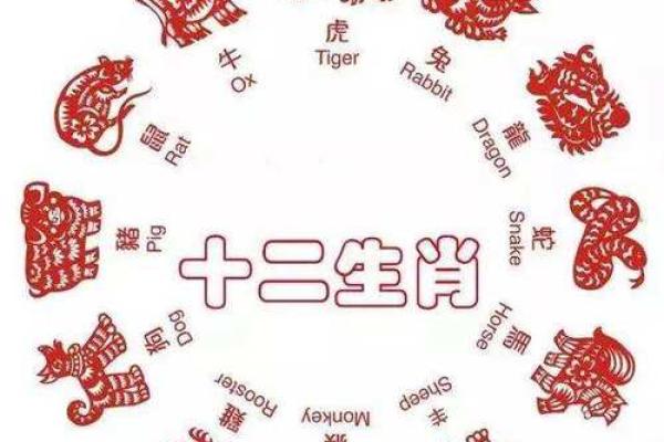 探秘2019年猪年生肖命理与未来运势分析