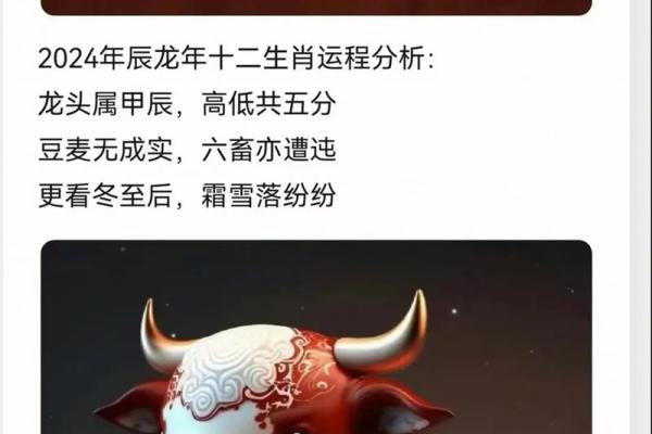 探秘2019年猪年生肖命理与未来运势分析