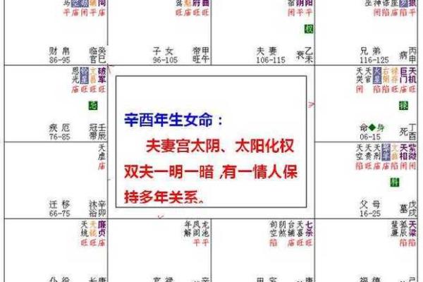 紫薇命无主星解读：探索命理中的神秘与智慧