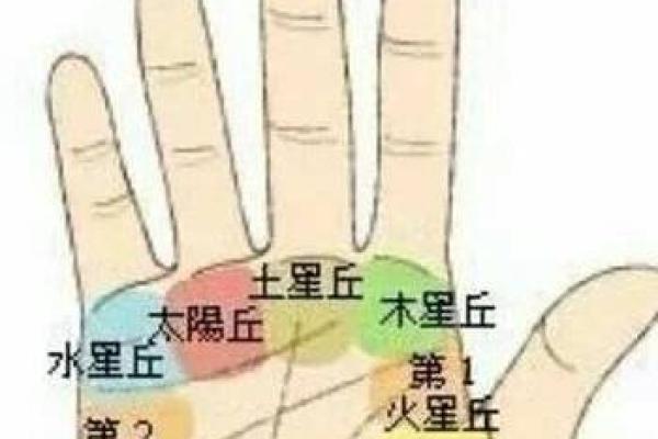 掌纹奥秘：揭秘你的命运与性格特征！