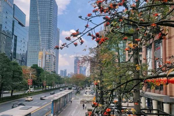 住在10楼的生活：高处的魅力与挑战，究竟值得吗？