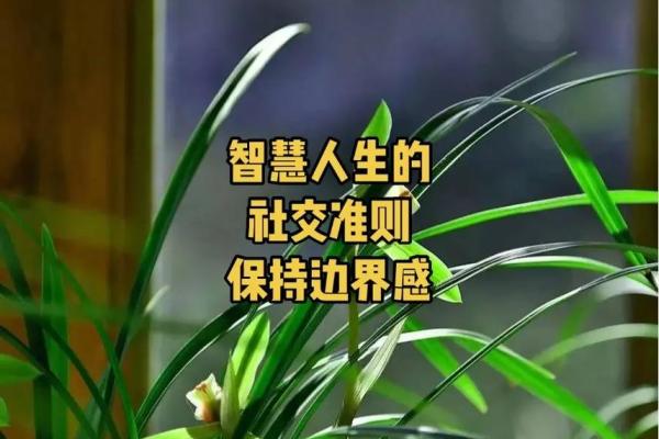 探寻自然命理规律，解读人生的神秘联系与智慧