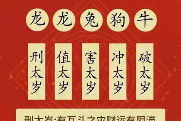 解析甲子命理，女孩如何选择命运之路？
